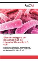 Efecto Sinergico de Bacteriocinas de Lactobacillus Sobre E. Coli.