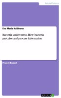 Bacteria under stress. How bacteria perceive and process information