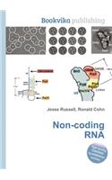 Non-Coding RNA