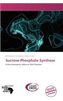 Sucrose-Phosphate Synthase