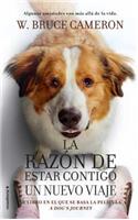 Razon de Estar Contigo, La. Un Nuevo Viaje (Movie-Tie-In)