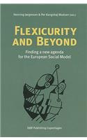 Flexicurity and Beyond