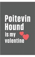 Poitevin Hound is my valentine: For Poitevin Hound Dog Fans