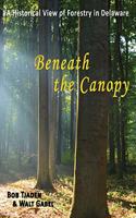 Beneath the Canopy