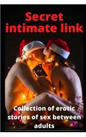 Secret intimate link: Collection of erotic stories of sex between adults