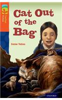 Oxford Reading Tree TreeTops Fiction: Level 13 More Pack B: Cat Out of the Bag: (Oxford Reading Tree TreeTops Fiction)