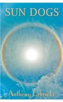 Sun Dogs