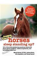 Why Do Horses Sleep Standing Up?