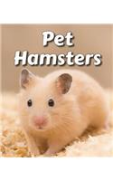 Pet Hamsters