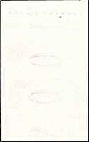 Triquarterly 110/111
