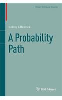 A Probability Path: (Modern Birkhauser Classics)