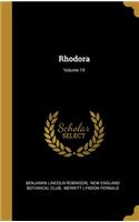 Rhodora; Volume 19