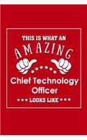 This is What an Amazing Chief Technology Officer Look Like