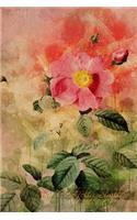 Rosa Centifolia Simplex: Floral Notebook with Flower Illustrations on Every Page