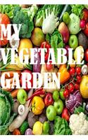 My Vegetable Garden