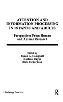 Attention and Information Processing in Infants and Adults