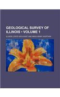 Geological Survey of Illinois (Volume 1)
