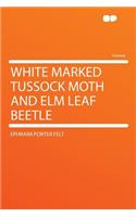 White Marked Tussock Moth and ELM Leaf Beetle