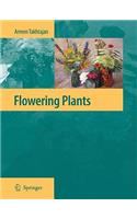 Flowering Plants