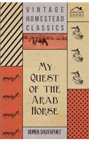 My Quest of the Arab Horse