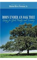 Born Under an Oak Tree