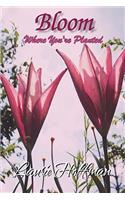Bloom Where You're Planted