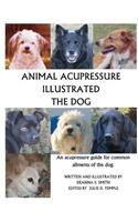 Animal Acupressure Illustrated The Dog