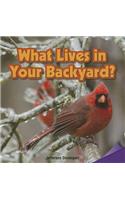 What Lives in Your Backyard?: (Infomax Readers)