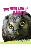 The Wild Life of Owls