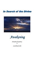 In Search of the Divine: Book 1: Awakening(1 In Search of the Divine)