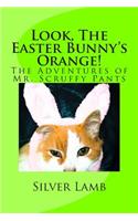 Look, The Easter Bunny's Orange