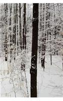 Winter Season Journal Forest: (Seasonal Winter Photo Journals Notebooks Diaries)