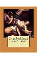 last days of Pompeii. By