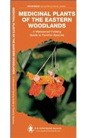 Medicinal Plants of the Eastern Woodlands