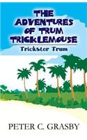 The Adventures of Trum Tricklemouse: Trickster Trum