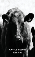 Cattle Record Keeping: Beef Calving Log, Farm, Track Livestock Breeding, Calves Journal, Immunizations & Vaccines Book, Cow & Calf Income & Expense Ledger