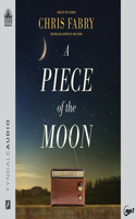 A Piece of the Moon