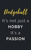 Dodgeball It's not just a Hobby It's a Passion