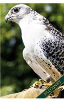 Falconry