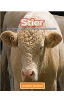 Stier