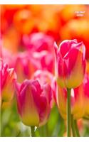 Fire Tulip Notes: Wide Ruled, Blank Notebook, Pocket Size, Glossy Cover Design on Front and Back, 6 X 9 Inches