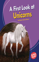 A First Look at Unicorns: (Bumba Books — Fantastic Creatures)