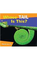 Whose Tail Is This?