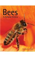 Bees