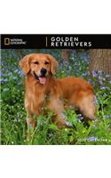 Cal 2020-National Geographic Golden Retrievers Wall