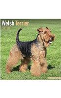 Welsh Terrier Calendar 2018