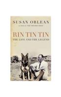 Rin Tin Tin