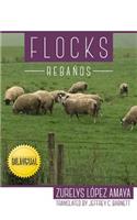 Flocks/Rebaños