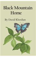 Black Mountain Home