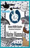 Marine Mammals